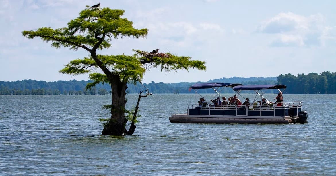 Premium 10 Passenger Single Story, Pontoon Boats