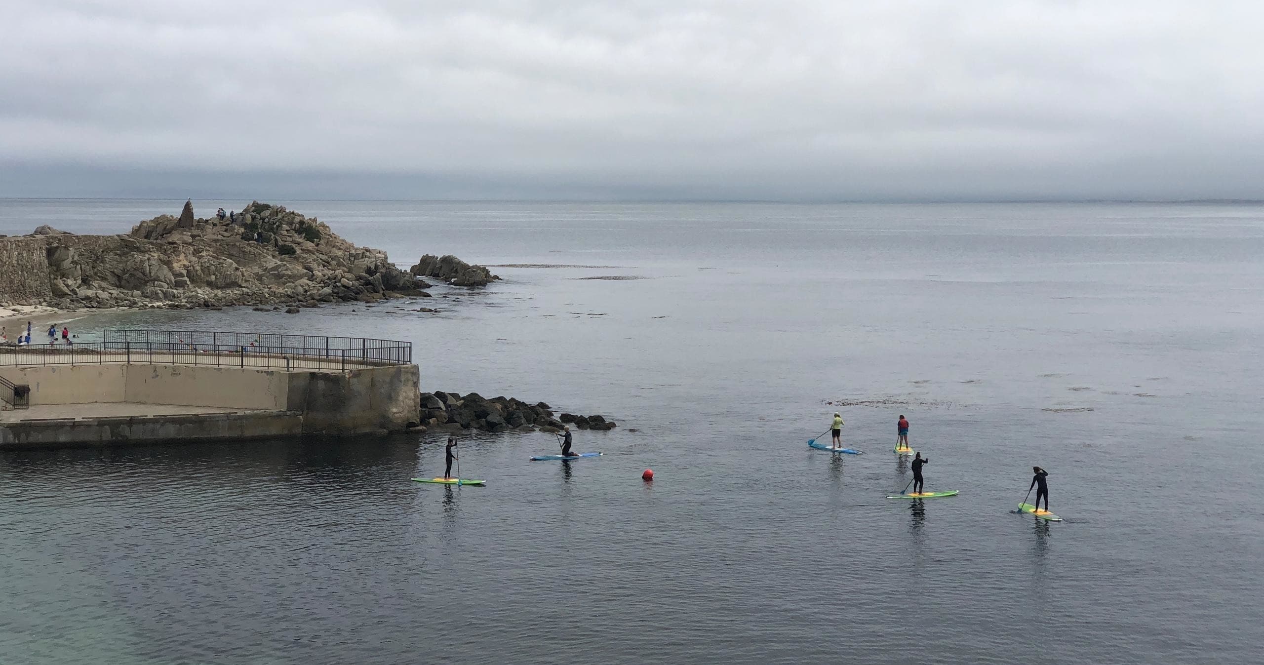 Paddle Board Rental