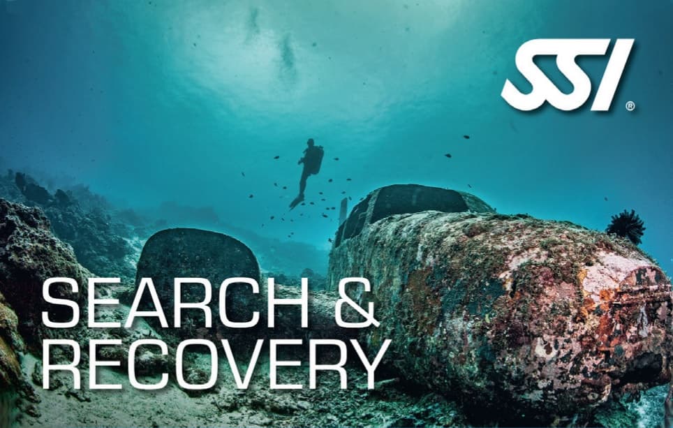 SSI Search & Recovery
