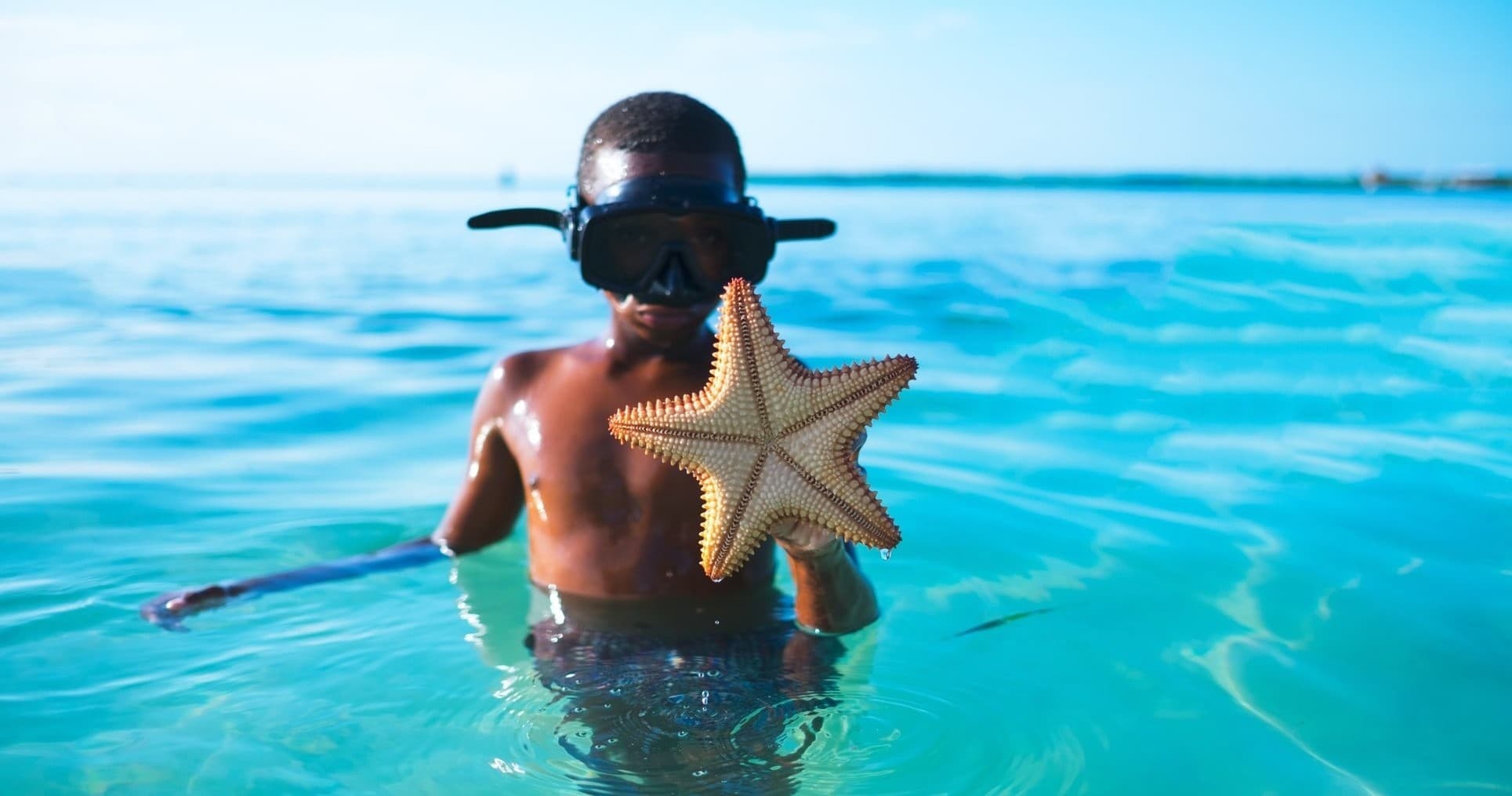 PADI Seal Teams (Children 8+)