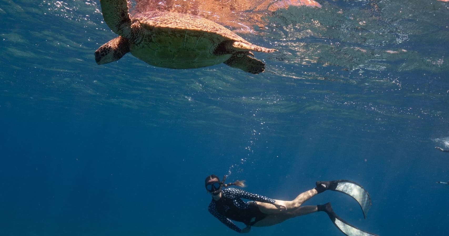 Waikiki Snorkeling