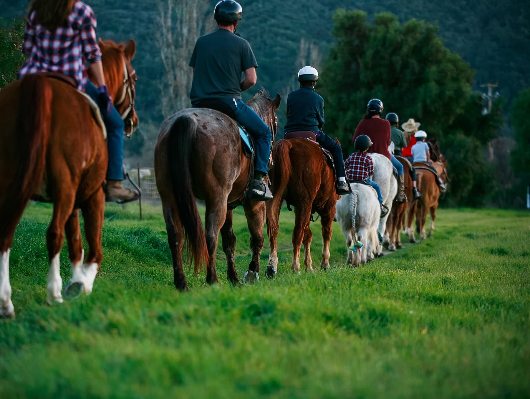 Private 90 Minute Trail Ride
