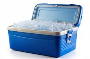 Cooler & Ice