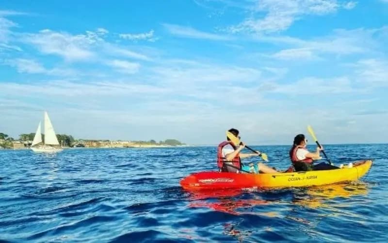 2.5-Hour Ocean Rentals