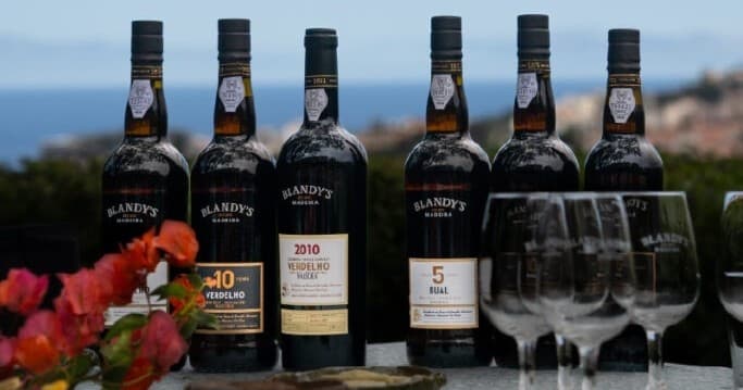 Madeira Vineyard Collection Experience