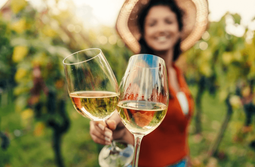 San Francisco 3-in-1: Woods + Wine Tour + Sausalito