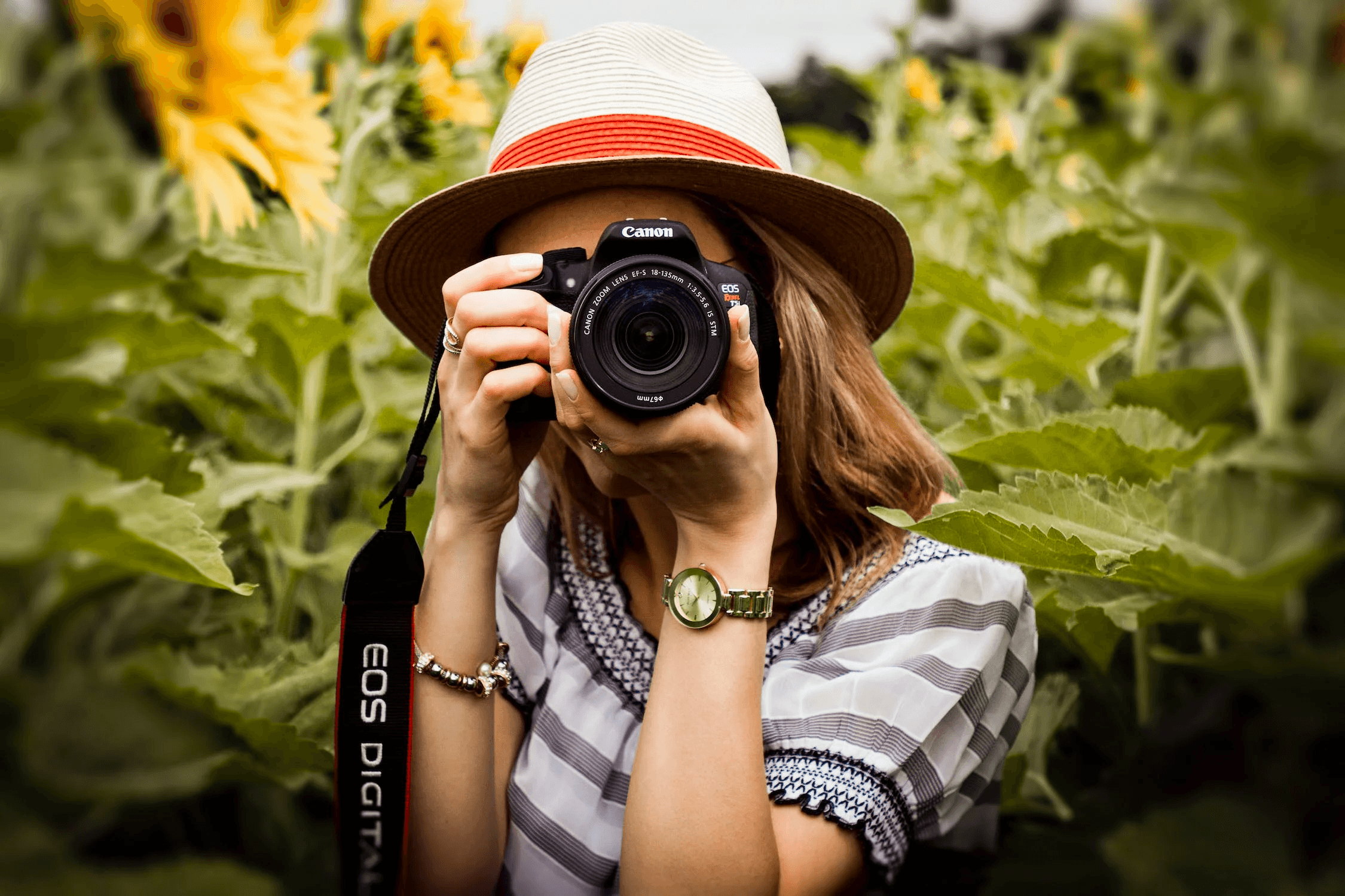 Professional Photographer - Farm Use (Iris Gardens are not included in this booking)