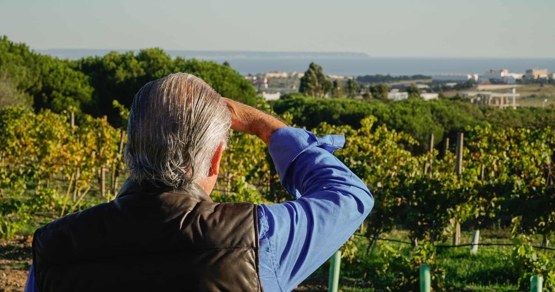 Carcavelos Wine Tasting Journey