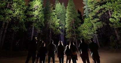 Flashlight Hike