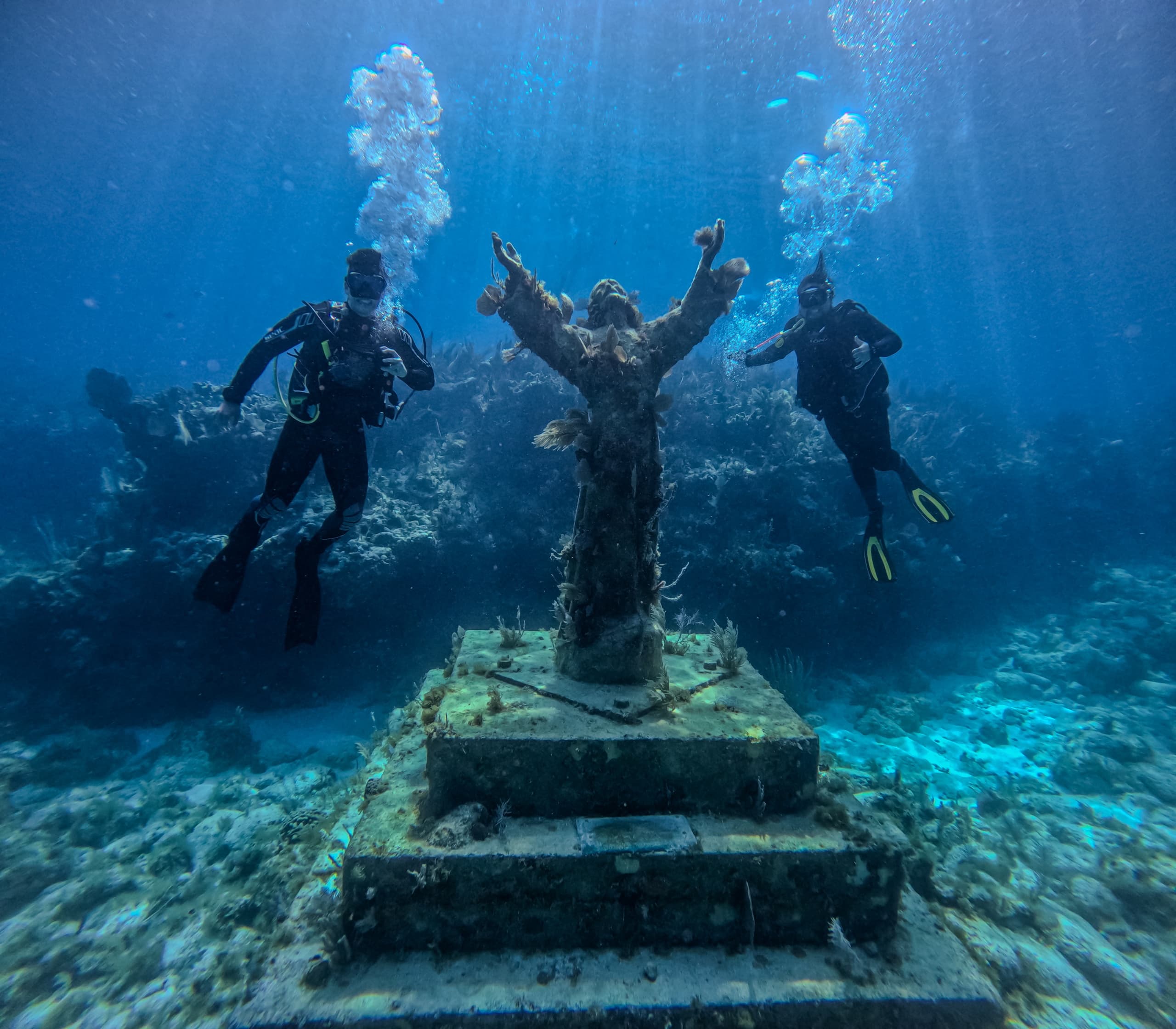 Shallow Two Tank Dive & Snorkel Trip