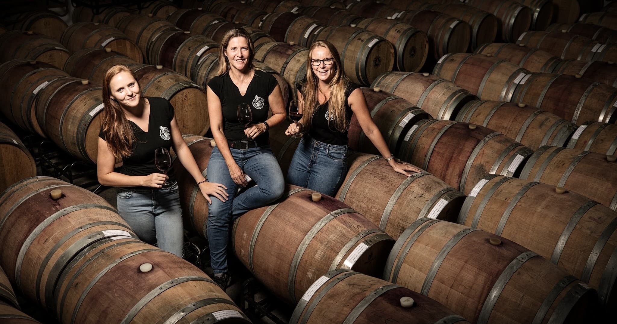 Montemor-o-Novo Premium Wine Tasting