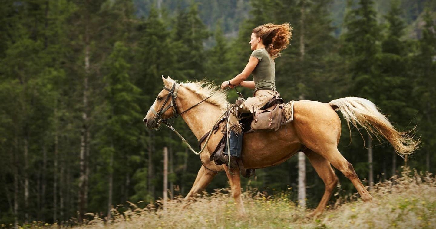 One Hour Guided Trail Ride
