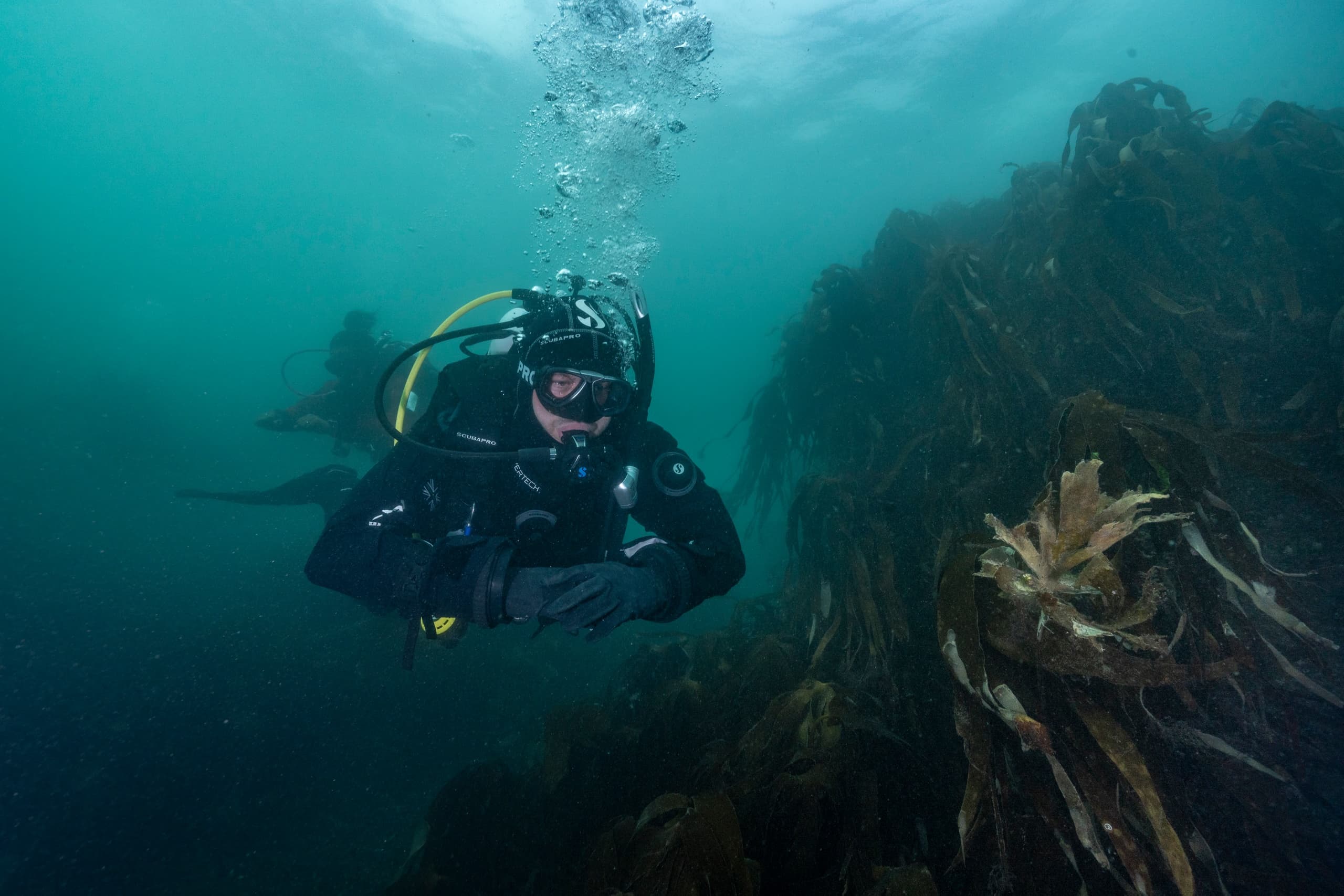 Dry Suit Specialty