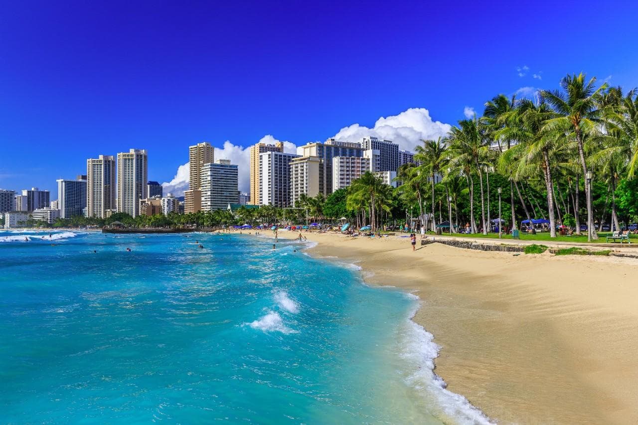 Private Transfer to Honolulu & Waikiki from Islandwide