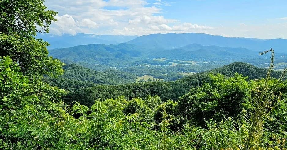 Smoky Bear Discovery Tour
