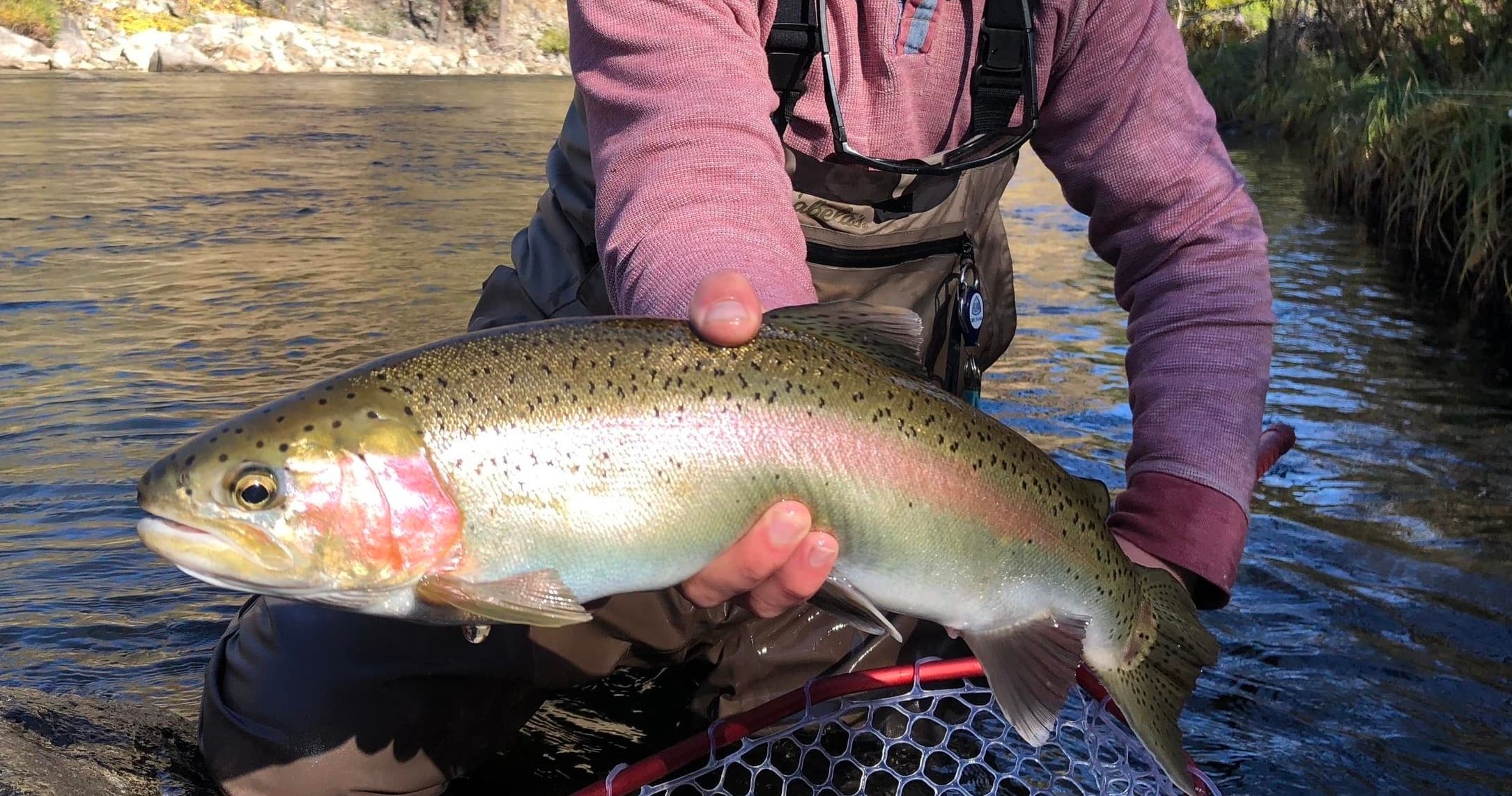 Private Full Day Fly Fishing For Beginners and Experienced Anglers