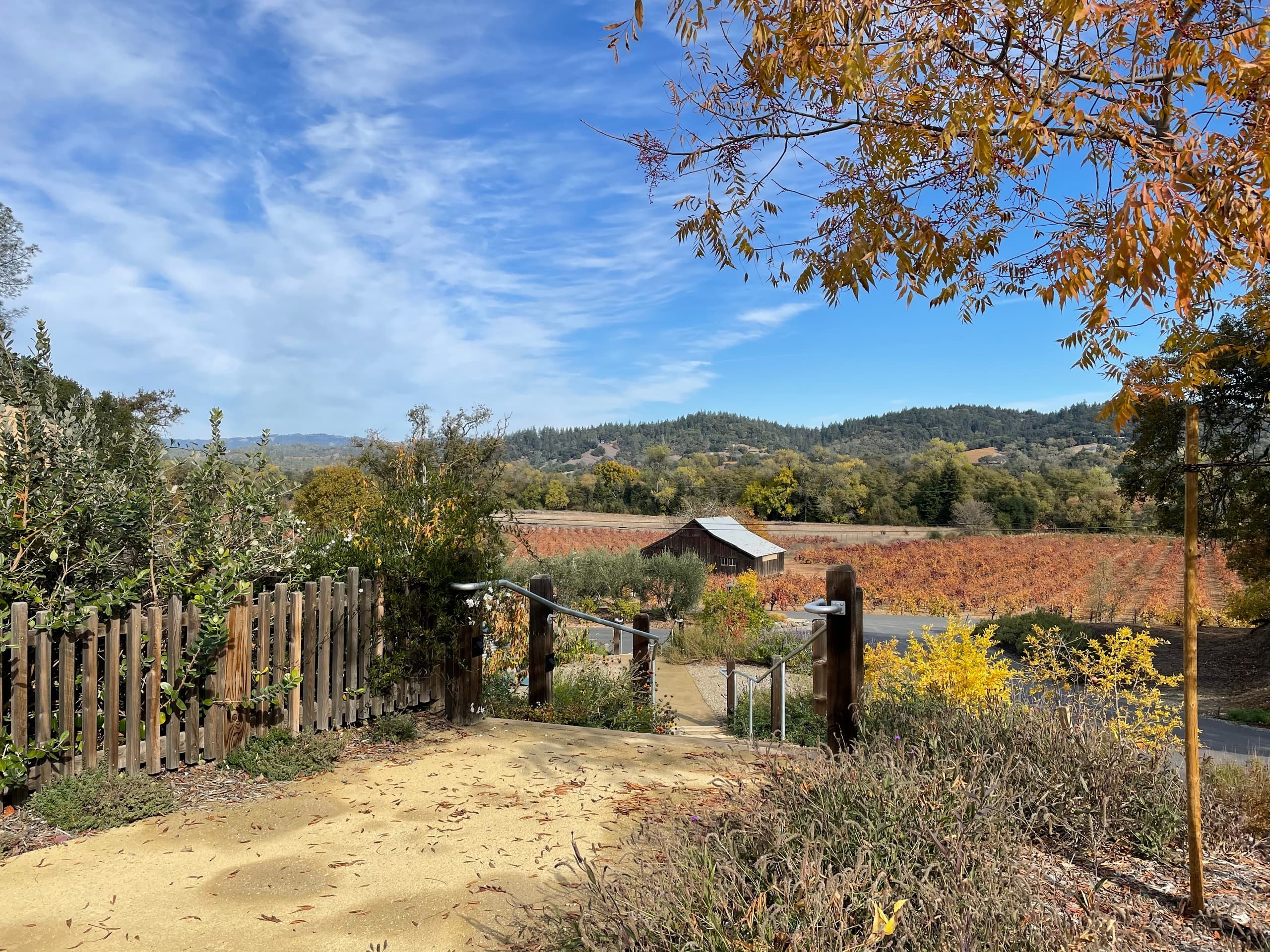 Sonoma Wine Tour