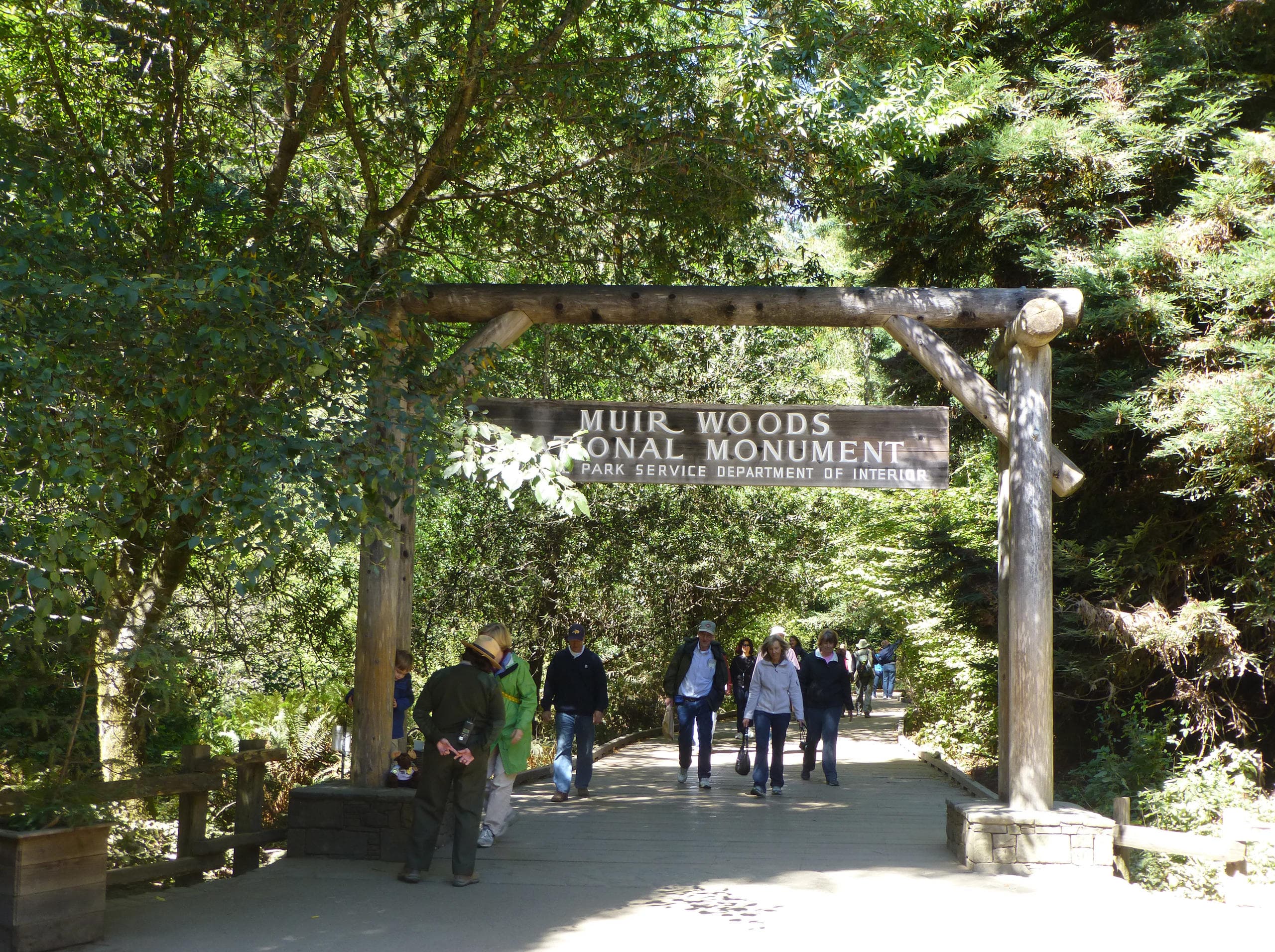 Muir Woods Tour