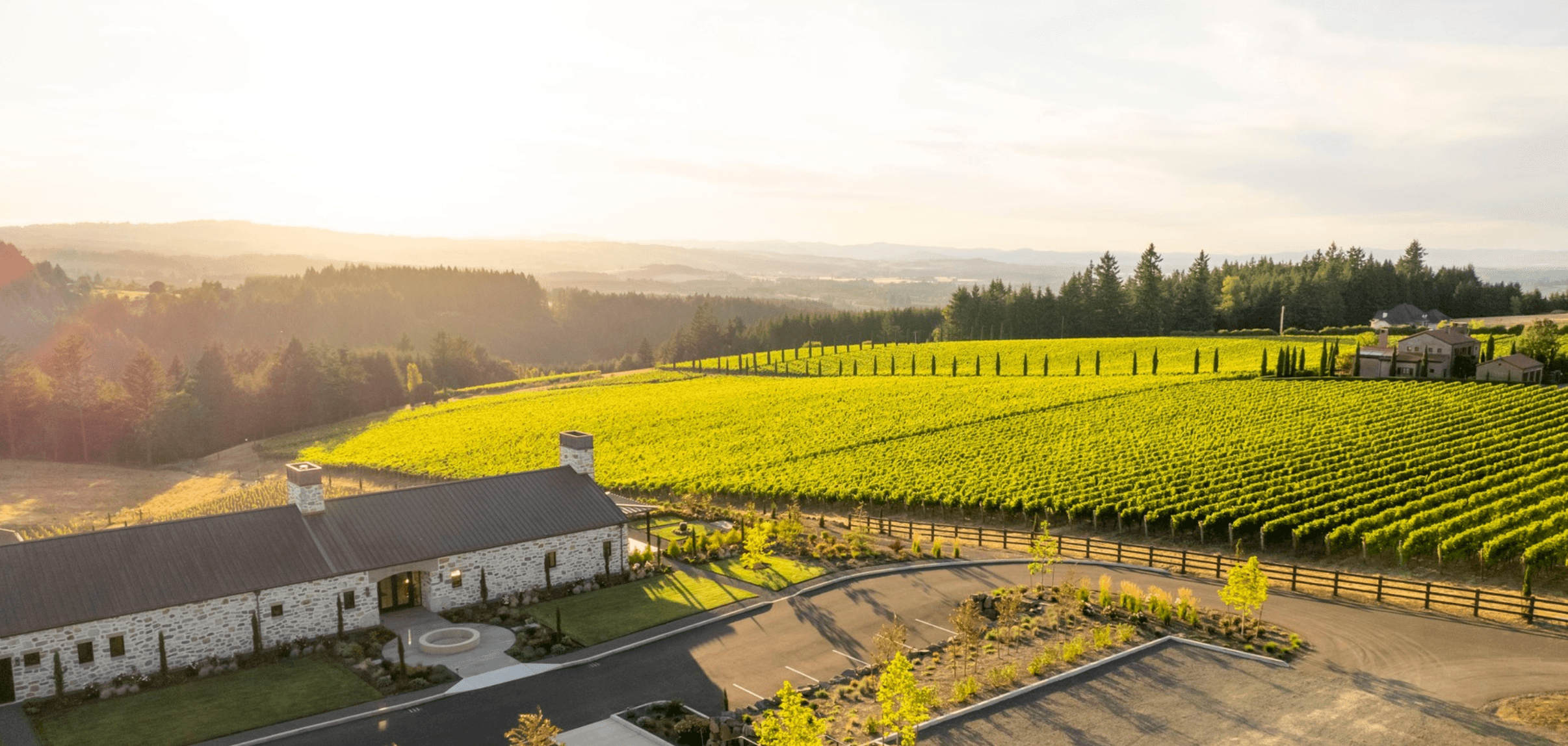 Truffle Foraging + Wine Country Feast Private Tour