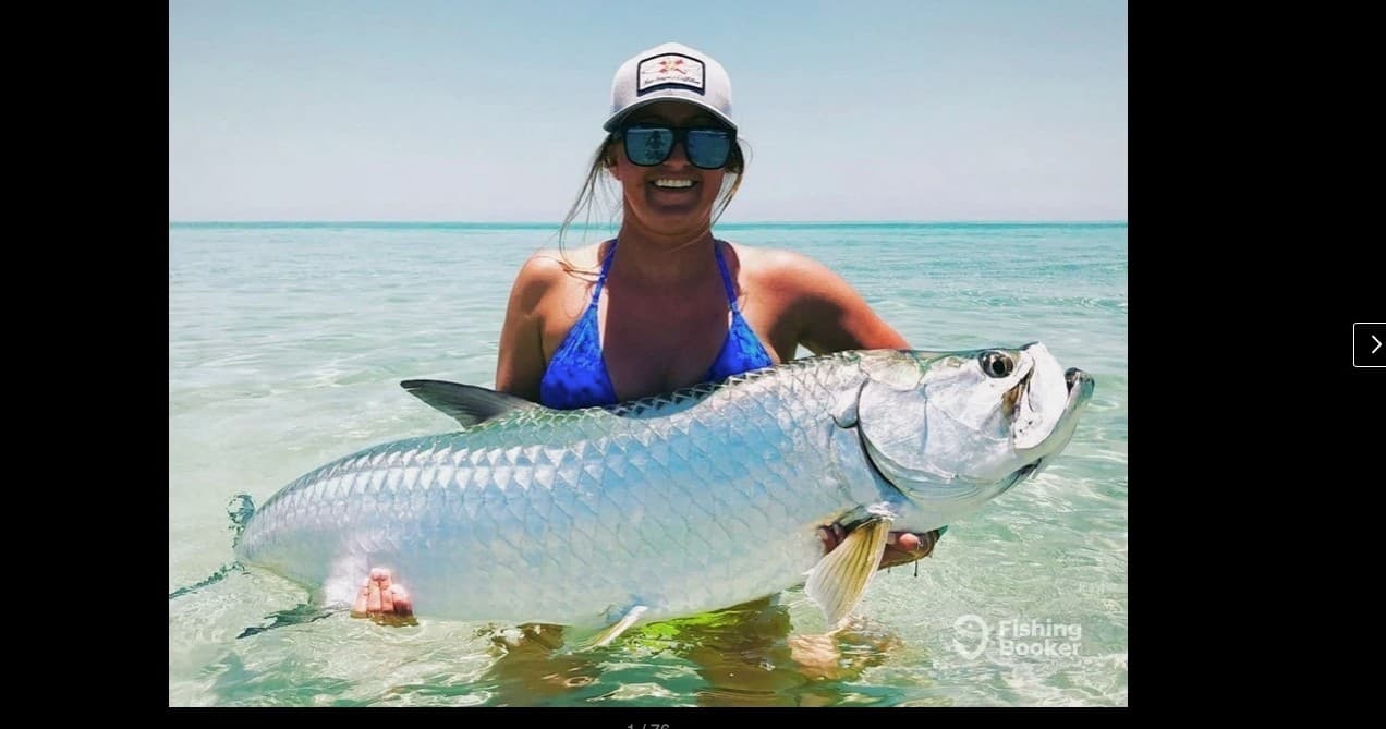Full Day Tarpon Trip