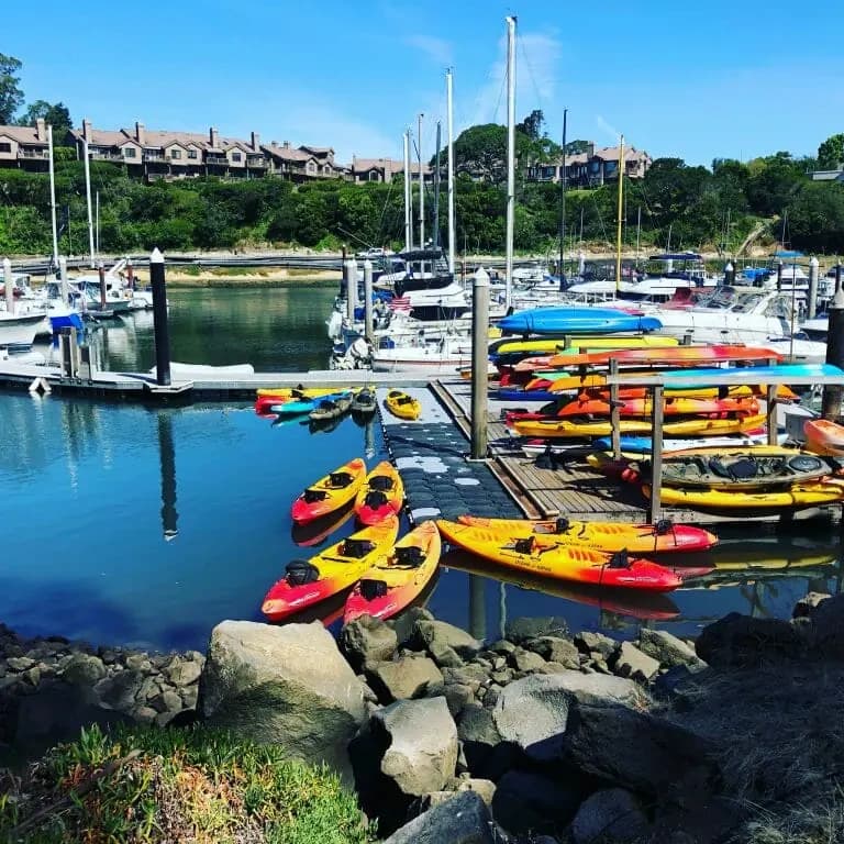 1-Hour Harbor Rentals