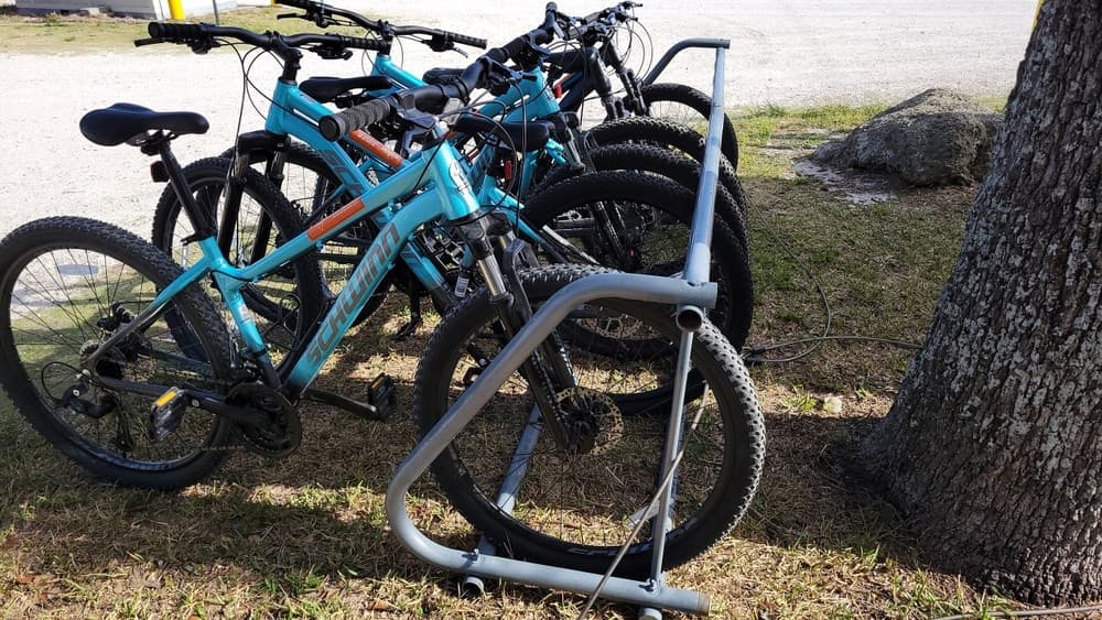 2 Hr Bicycle Rental