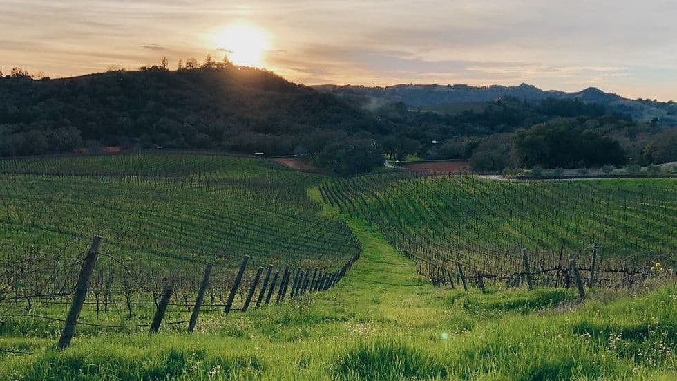A Taste of Alexander Valley