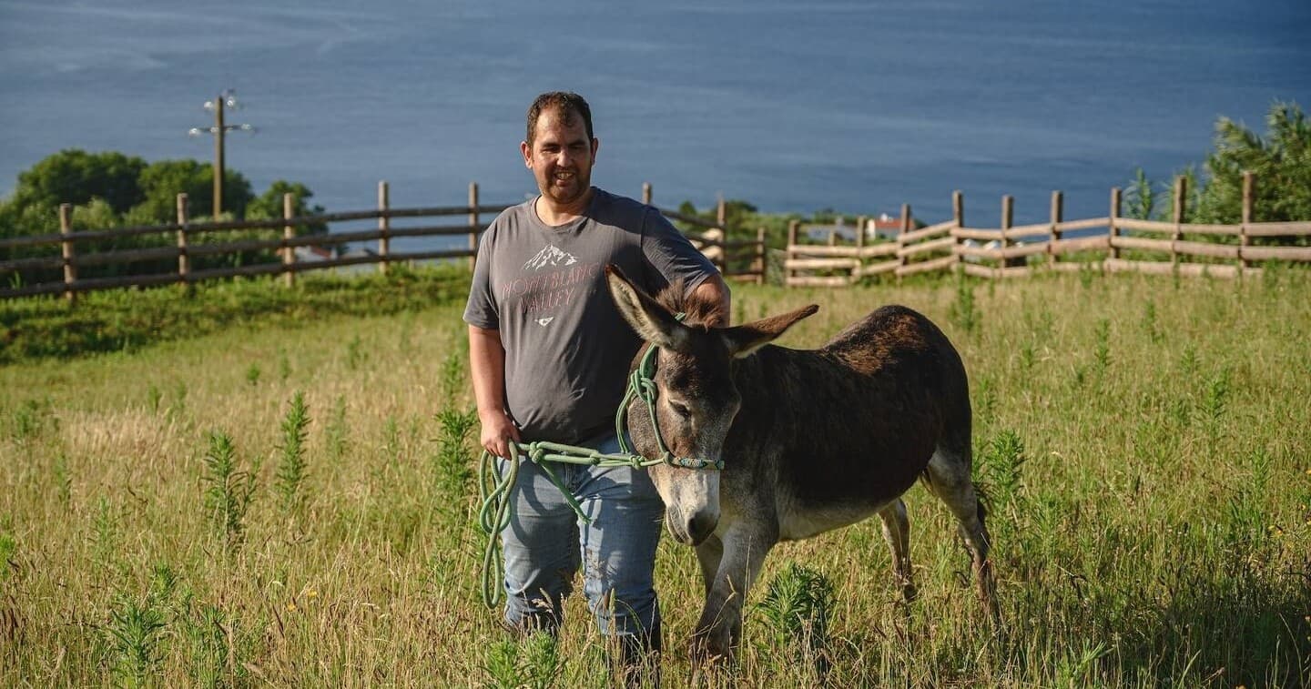 Rescued Donkeys Daily Care Experience