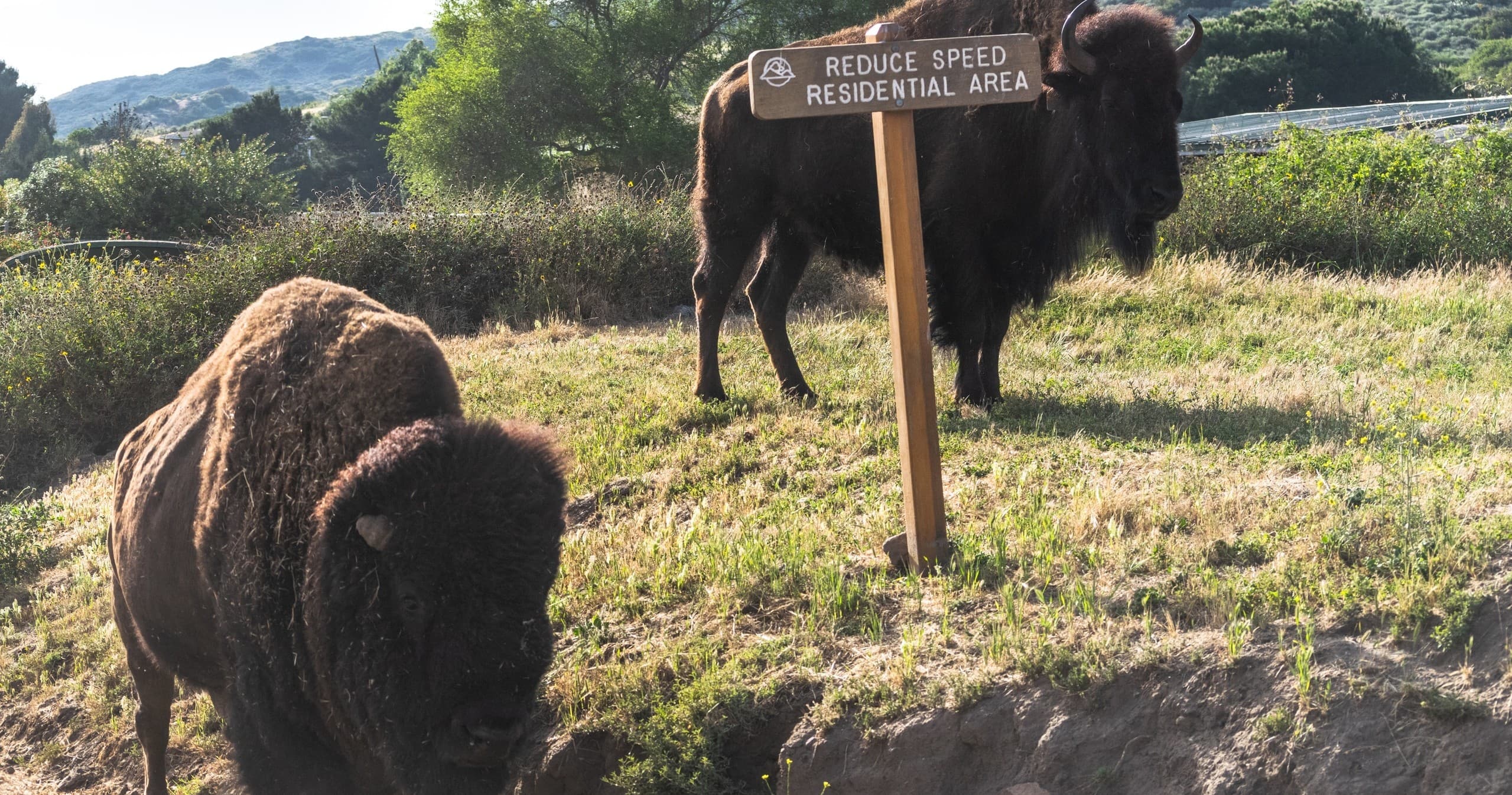 1.5 Hour Private Eco-Tour