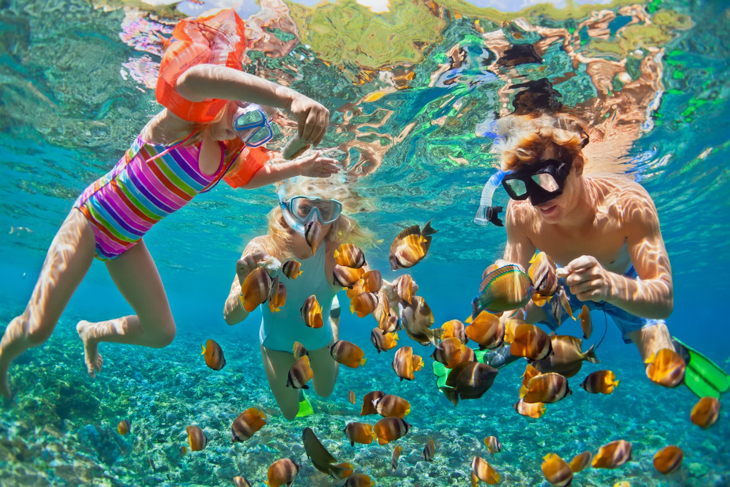 CJ Reef Snorkeling Getaway