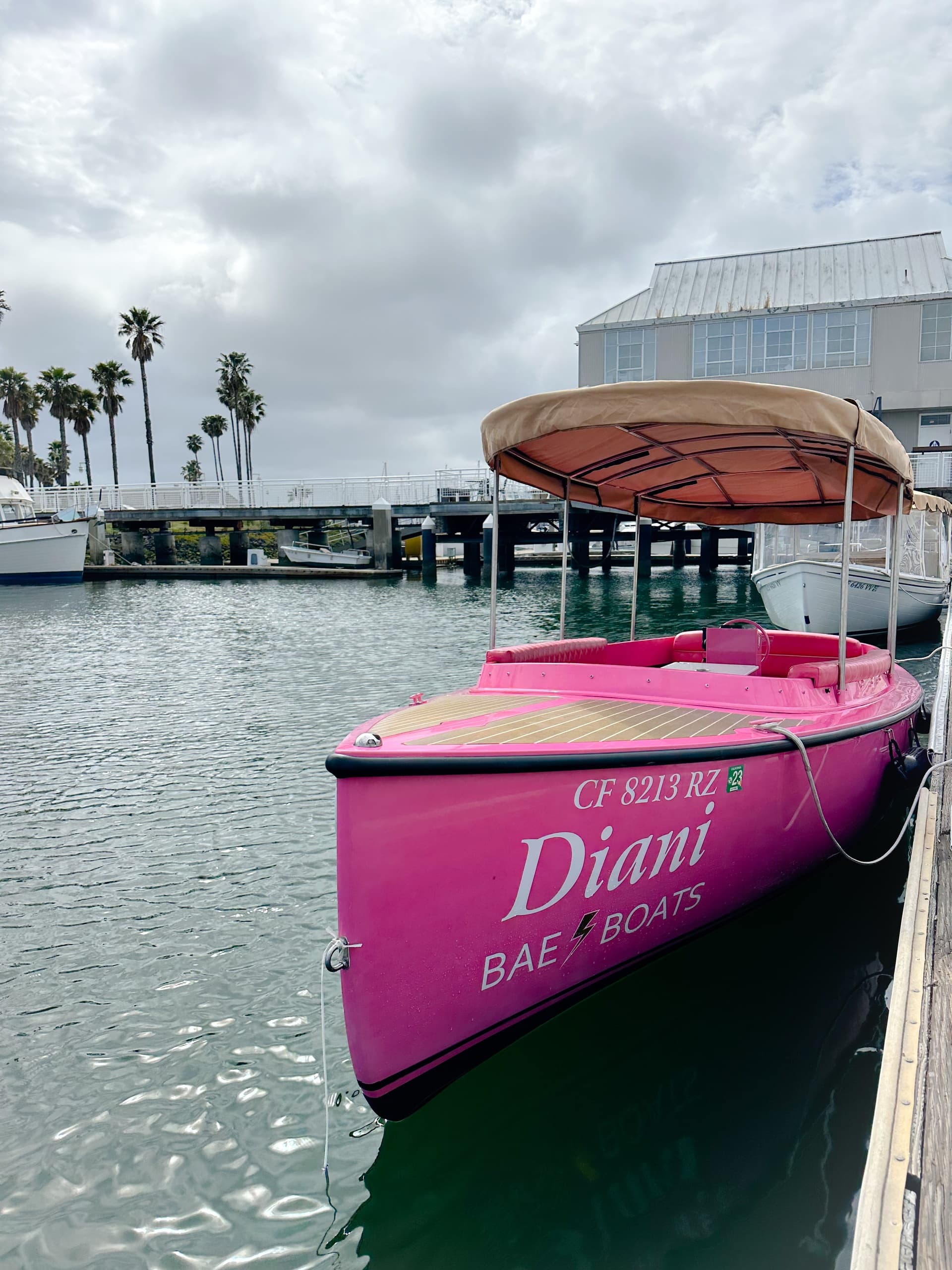 Alameda Pink Fantail Electric Boat