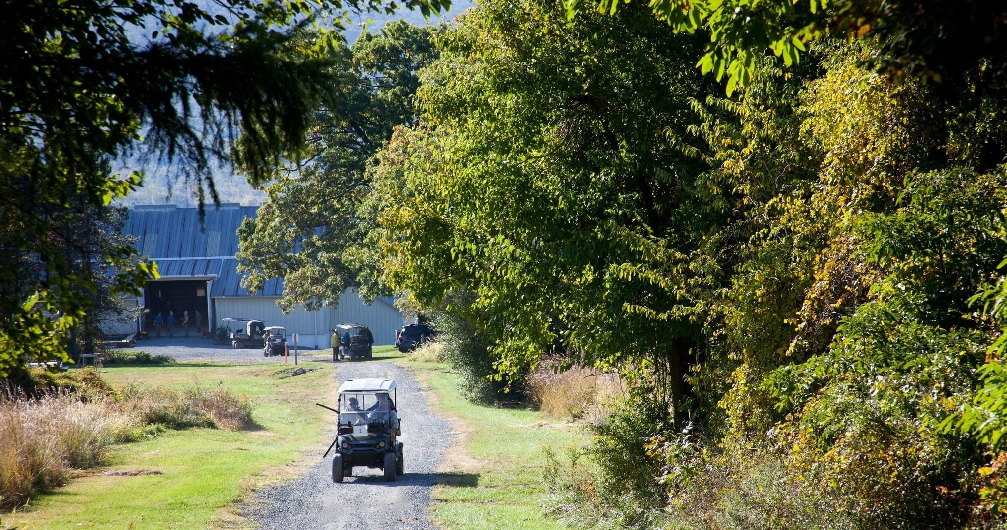 Golf Cart Rentals