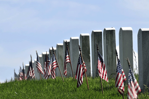 DC Highlights Tour with Arlington Cemetery