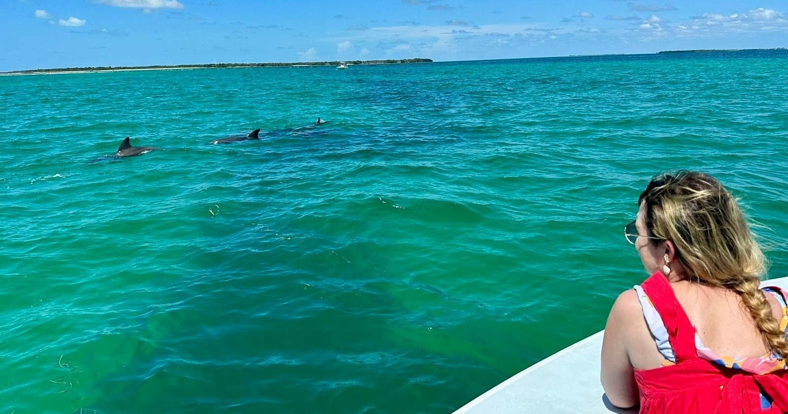 Dolphin Watching