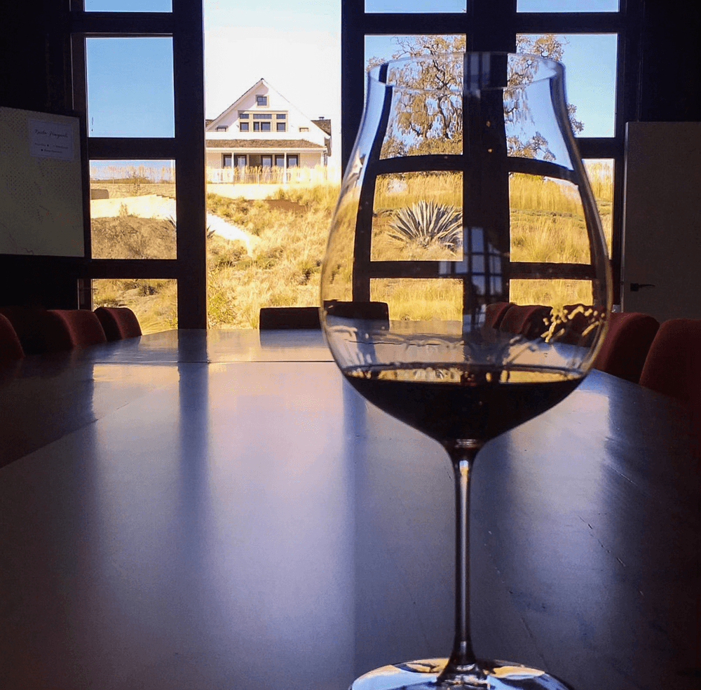 6 Hour Private Wine Tour SUV (Partial Day)