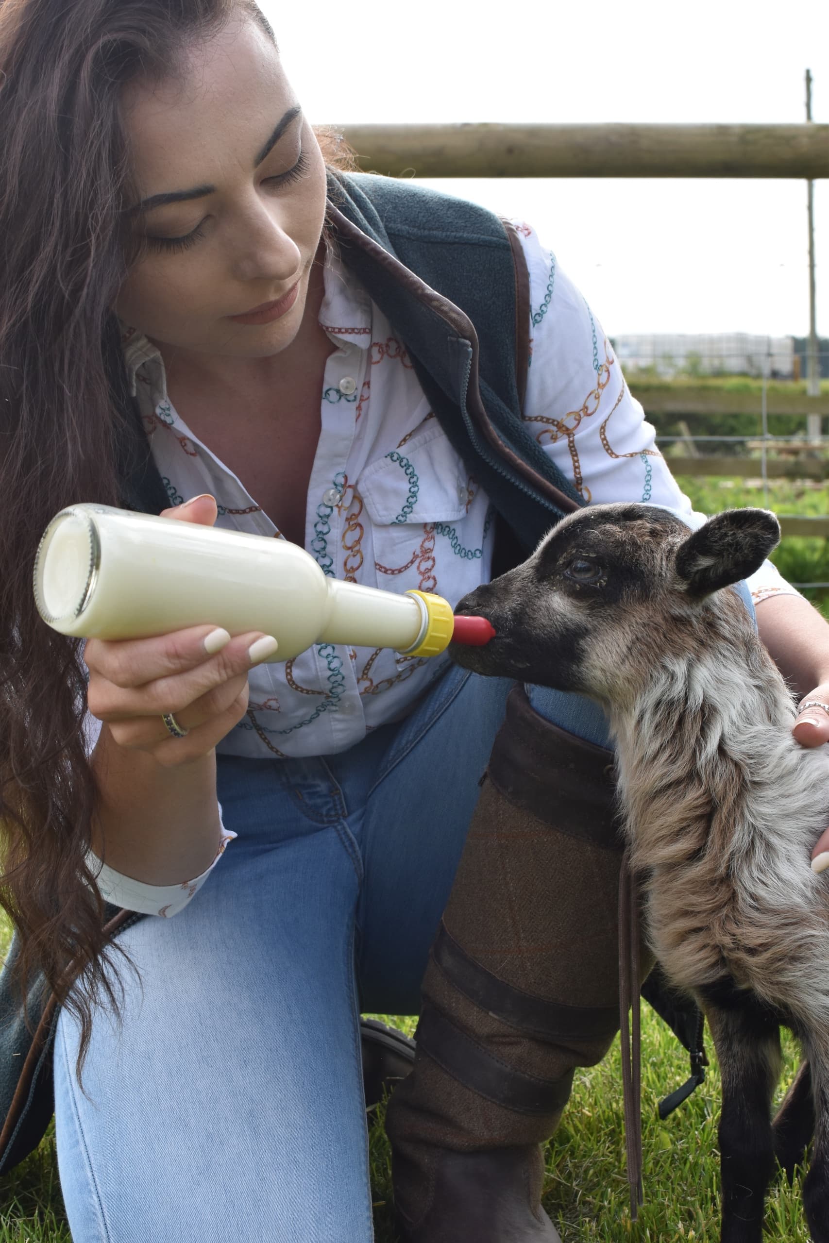 Feed a lamb at the farm during your visit