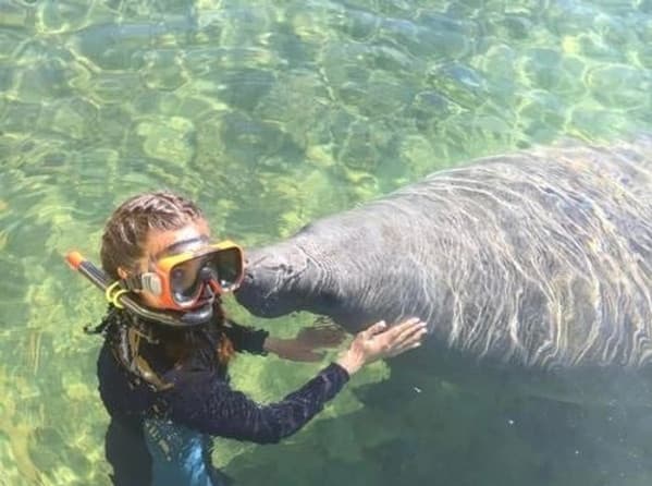 Manatee Overload" | Homosassa Springs | Dockside Lunch | 6 Hours"