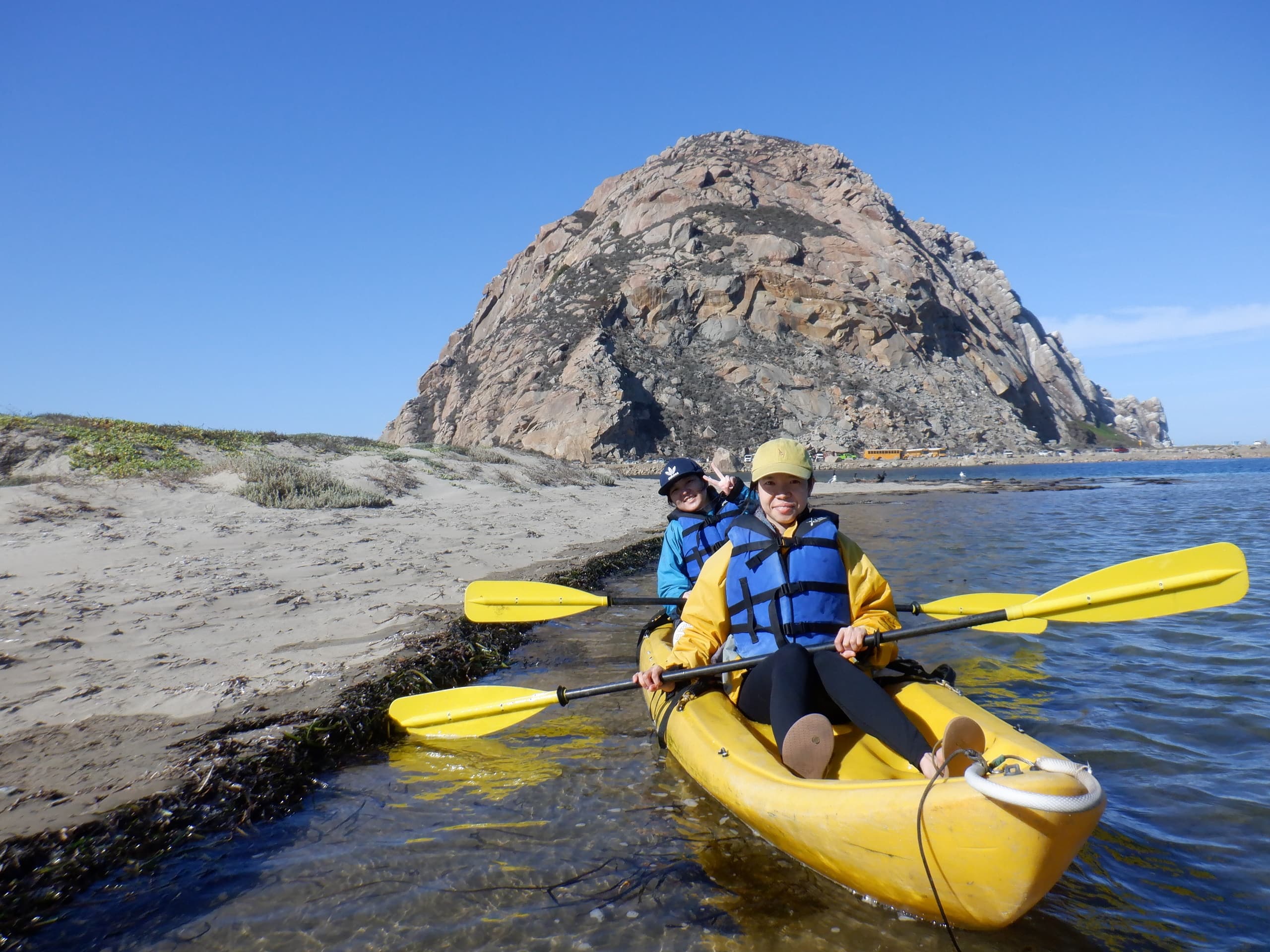 Morro Bay Wildlife Tour