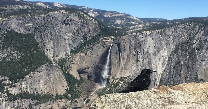 Yosemite Valley & Glacier Point Adaptive Tour
