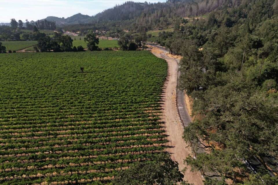 Vine Trail Discovery E-Bike Tour