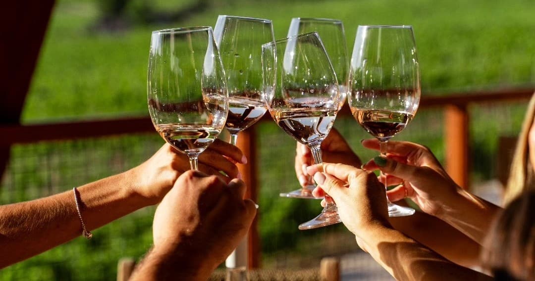 Viseu Premium Wine Tasting