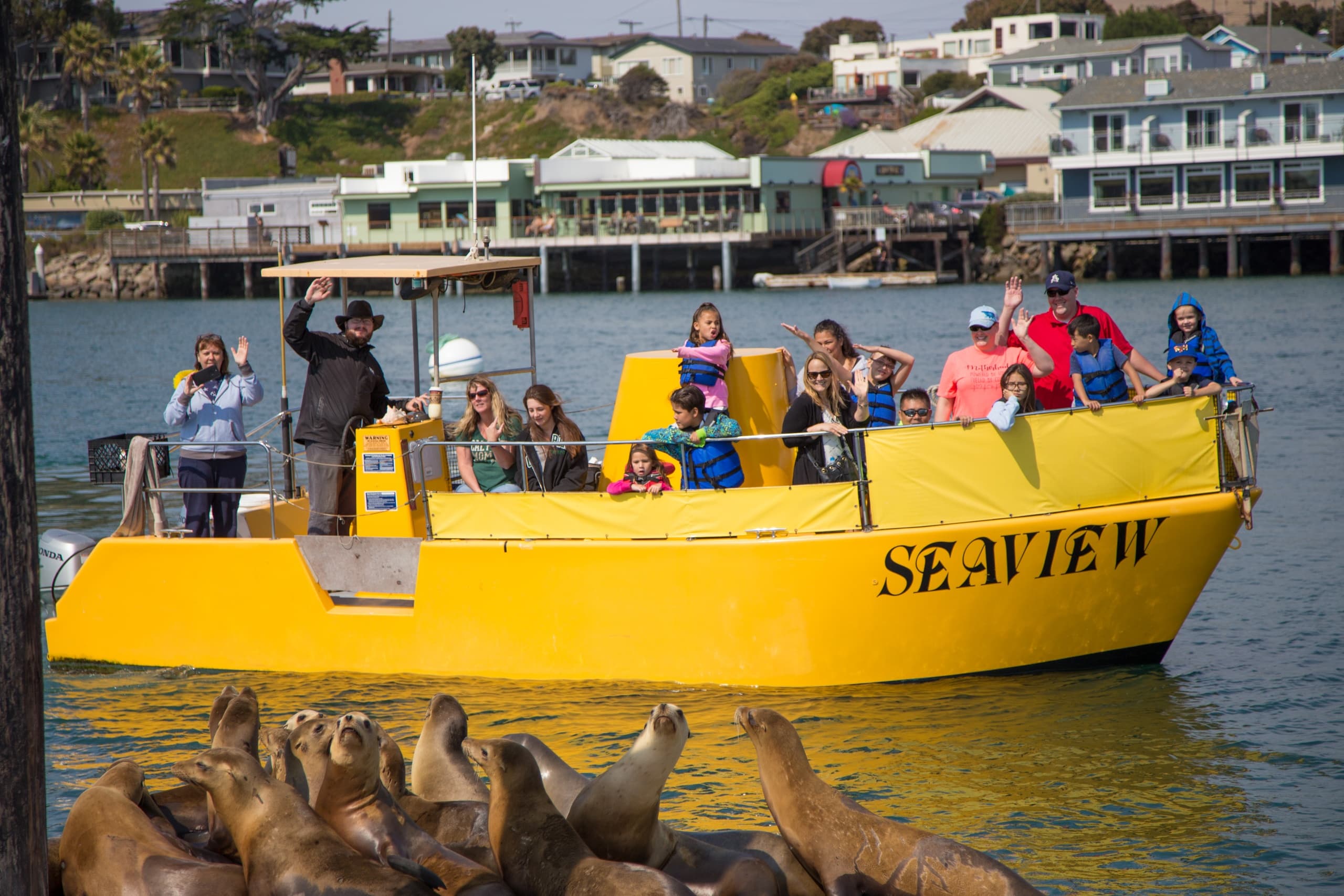 Sub Sea Tours