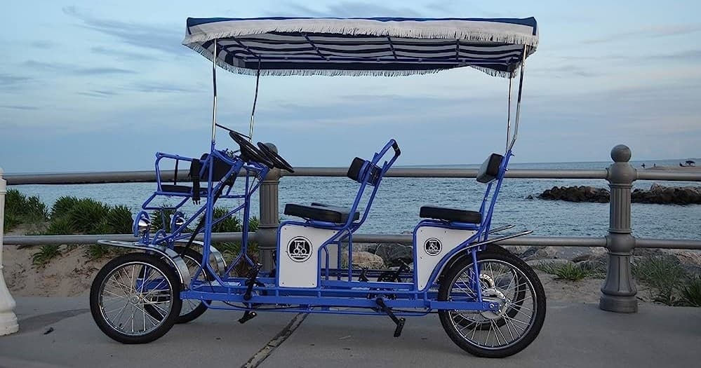 Double Surrey Rental