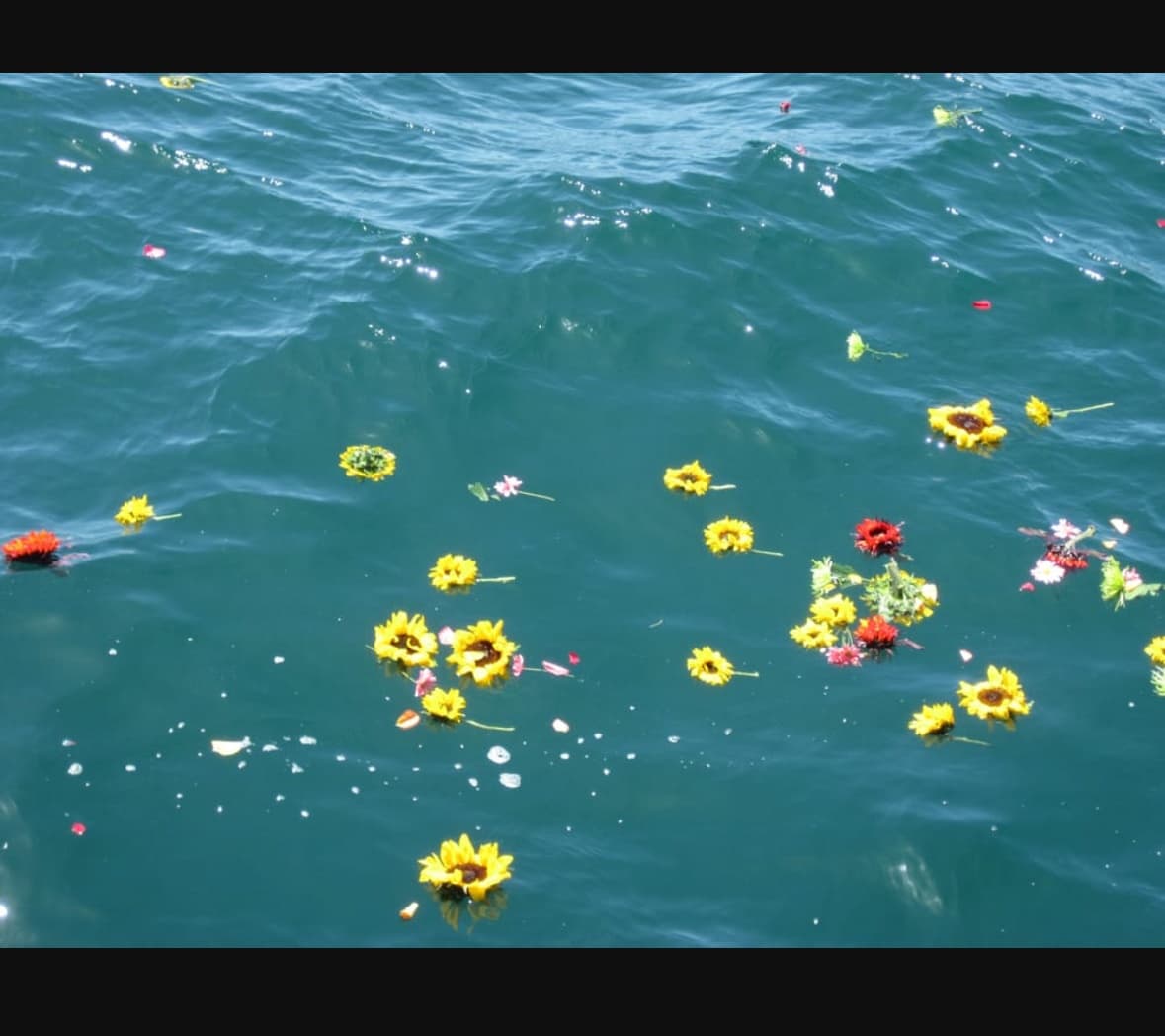 Burial at Sea / Celebration of Life