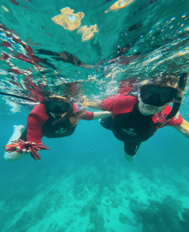 Snorkeling for Beginners with Flotation Wetsuits W/O Sea Scooters