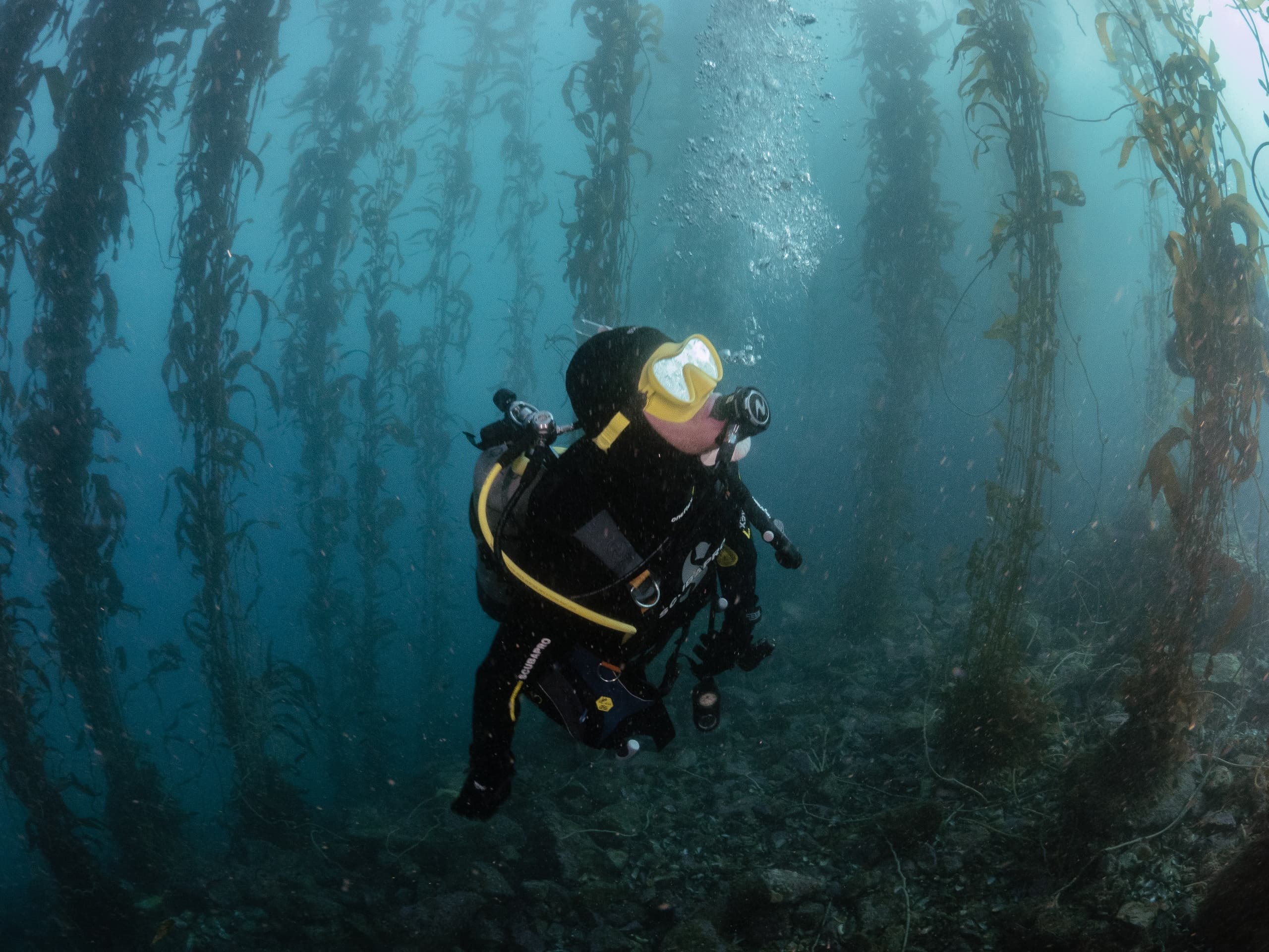 Discover Scuba Diving