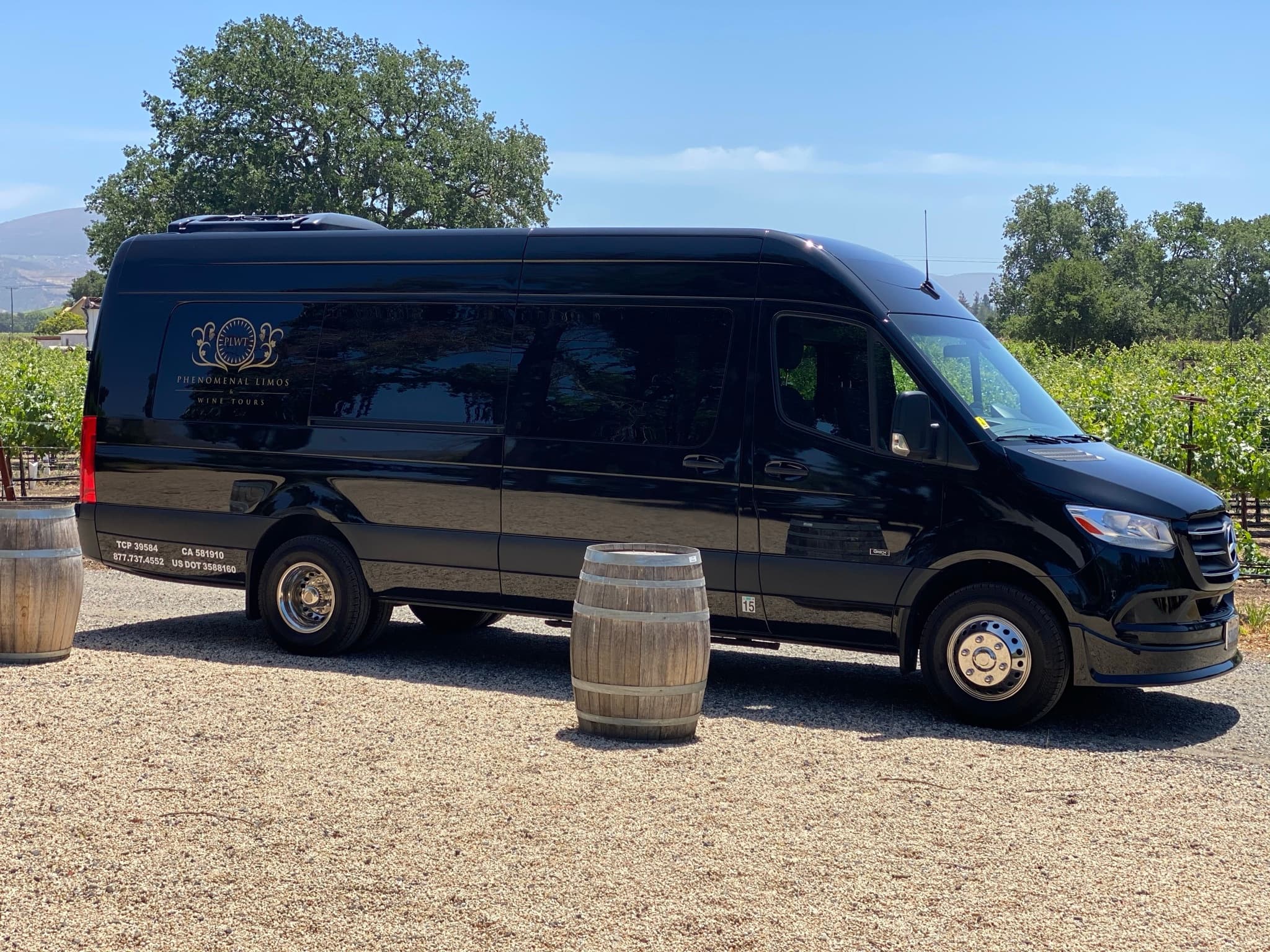 13 - 14 Passenger Mercedes Sprinter Limo Bus (Start time is Flexible)