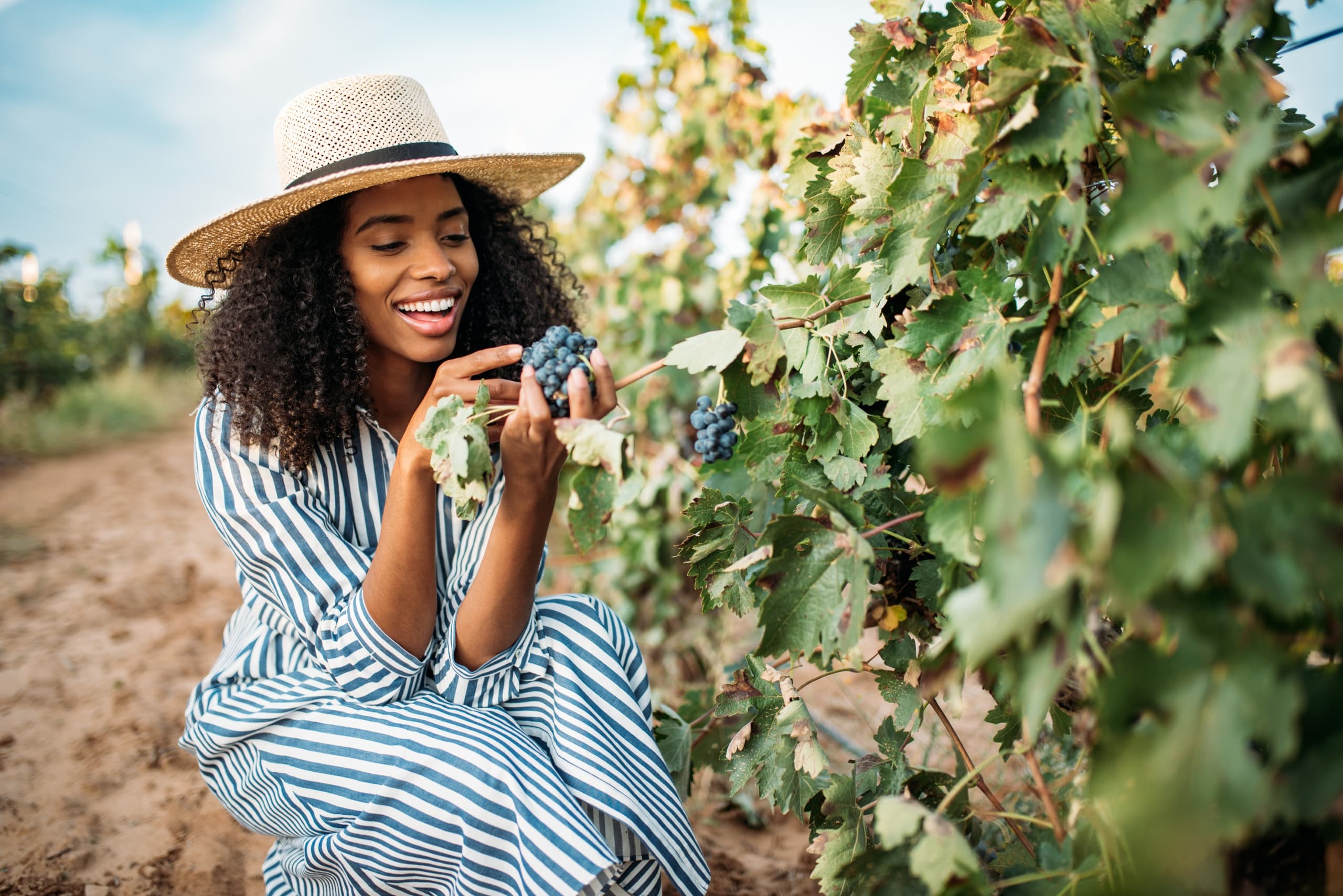 Redwoods and California Wine Country Tour