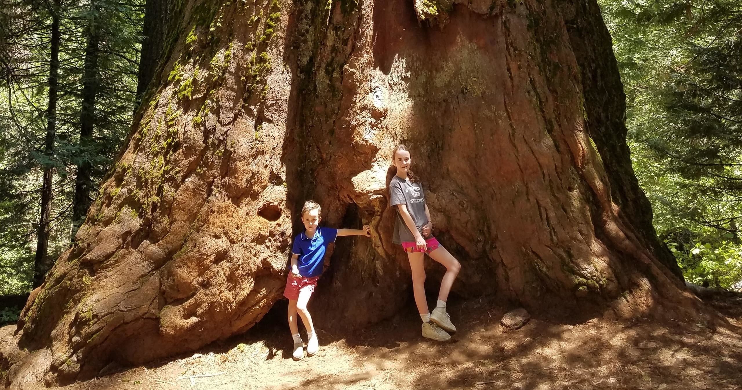 JUST ONE DAY IN YOSEMITE" Private Hike & Sightseeing Tour"