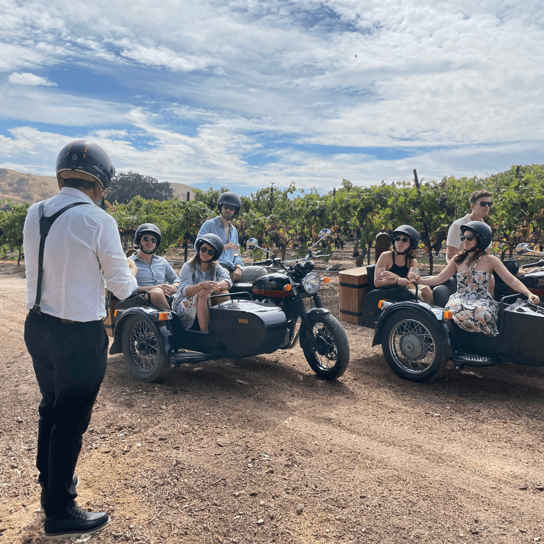 Scenic Sidecar Vineyard Tour Paso Robles